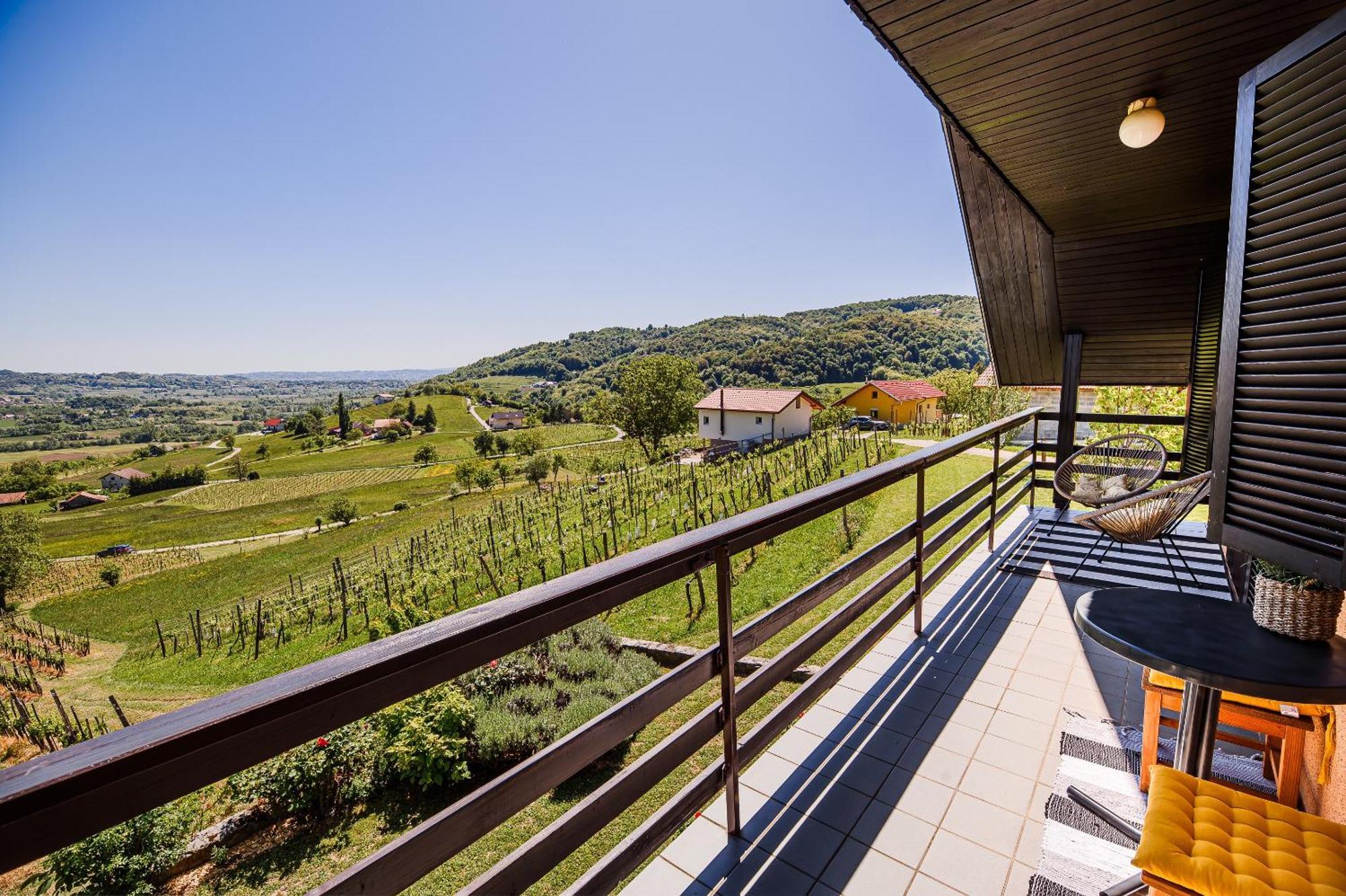 Holiday Home Vinea View - 4 Thermal Spas Nearby Bizeljsko Екстер'єр фото