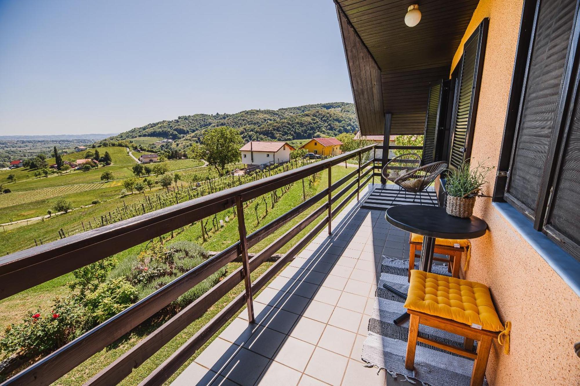 Holiday Home Vinea View - 4 Thermal Spas Nearby Bizeljsko Екстер'єр фото